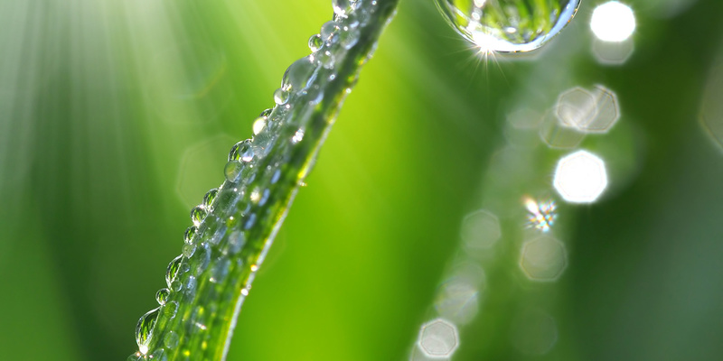 ©vencav - stock.adobe.com
