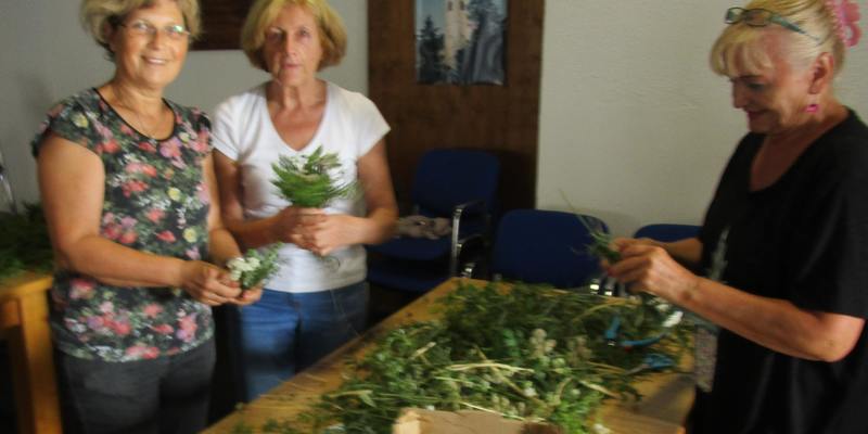 Kräuterbuschen binden / Foto: Stipsits