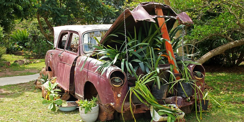 Natur im Auto / @ bluesnap_cc0-gemeinfrei_pixabay_pfarrbriefservice.de