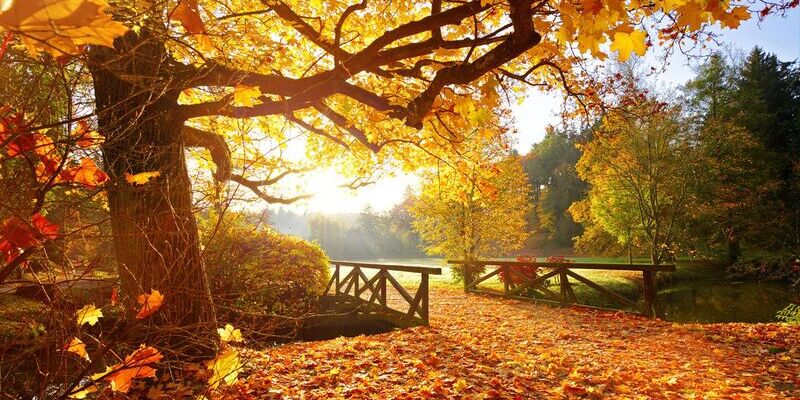 Herbst