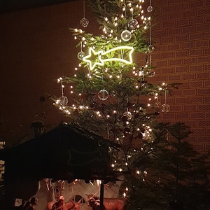 Christbaum mit Krippe - Christmette