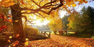 Herbst