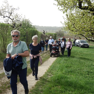 auf dem Weg  - zum Satzfeld                               